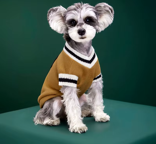 B - College Sweater E1