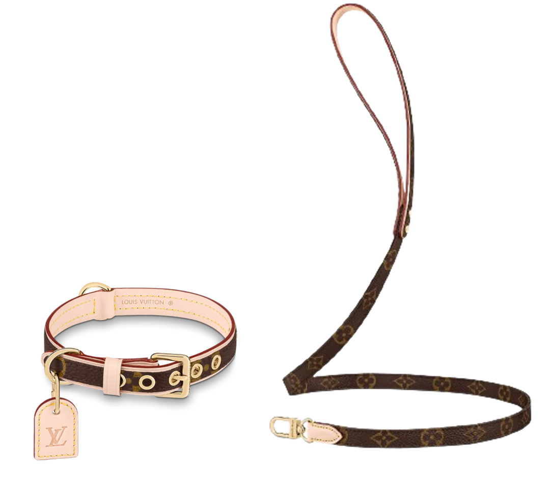 L - Collar & Leash E1