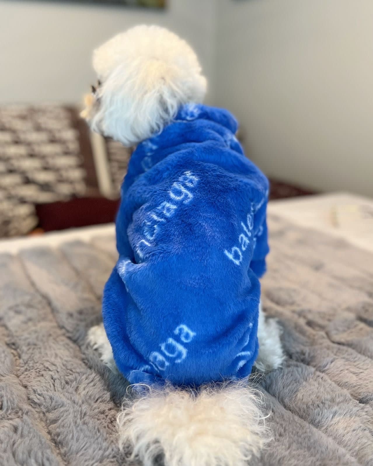 B - Fluffy Jacket E1