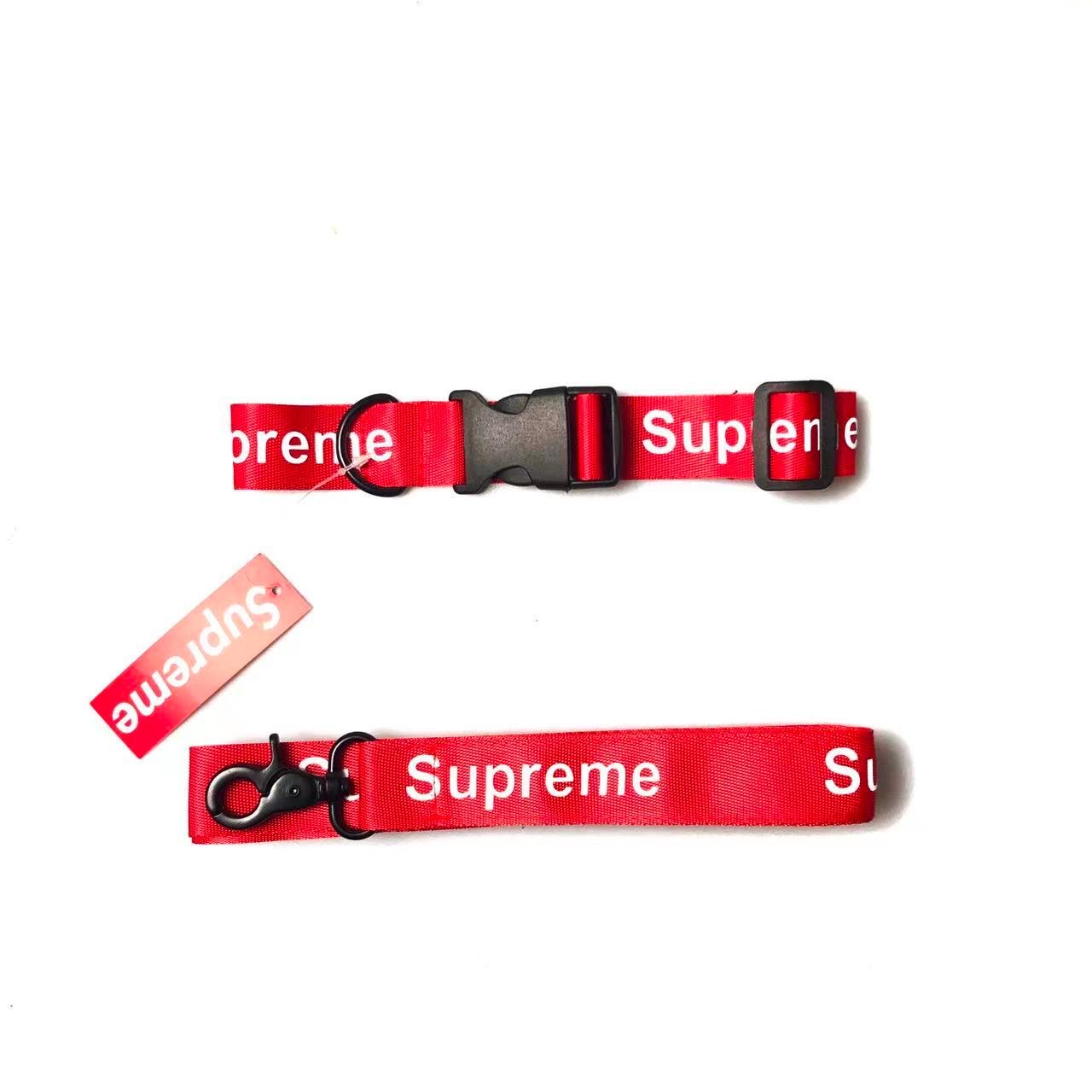 S - Collar & Leash E1