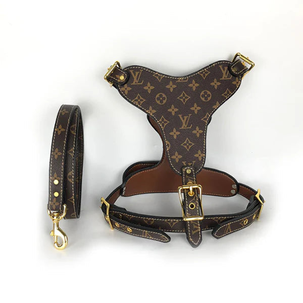 L - Harness and Leash E2