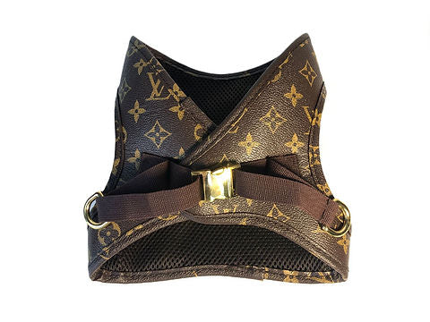 L - Harness with Leash E1