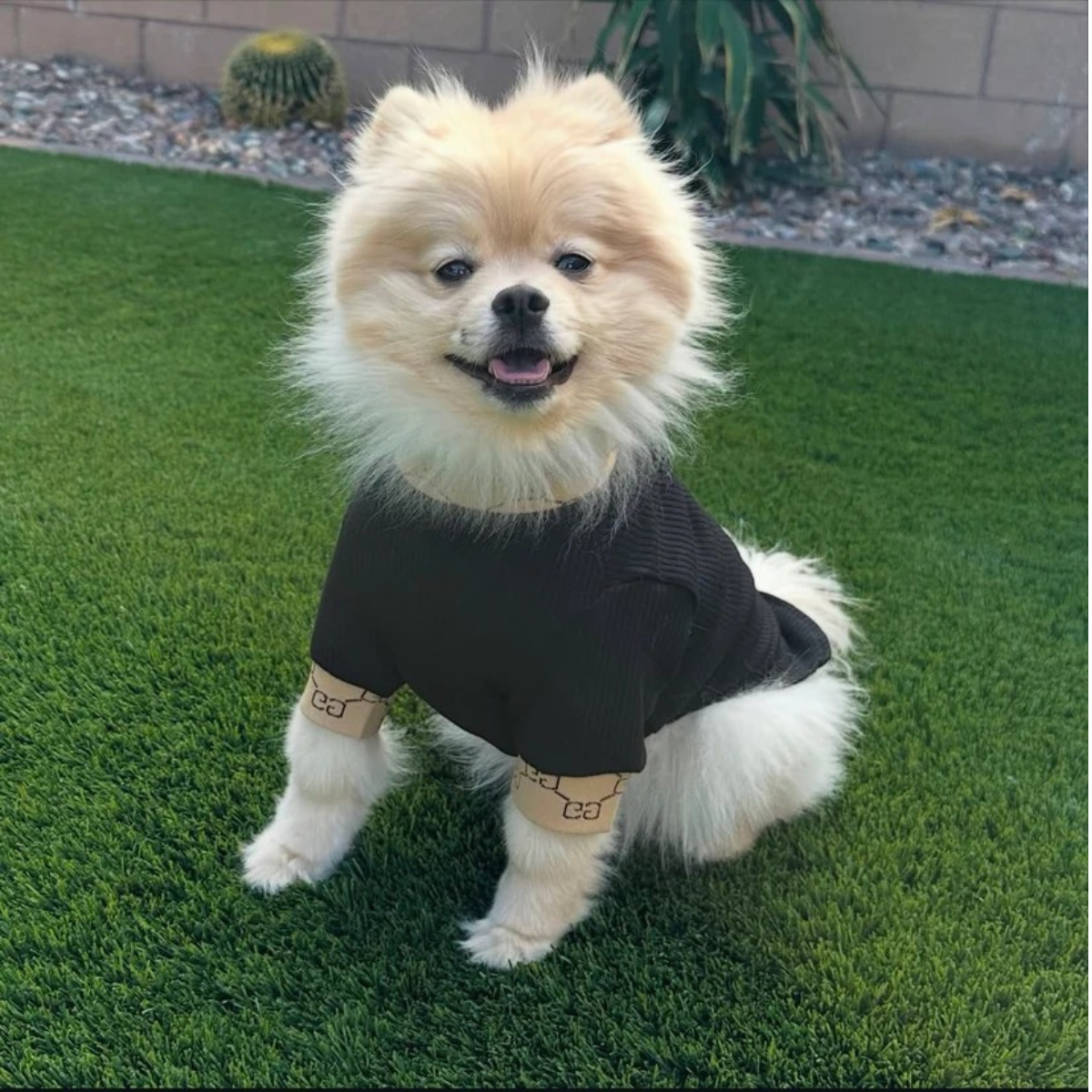G - Turtle Neck E2