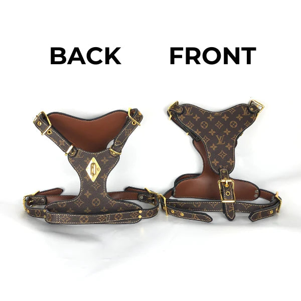 L - Harness and Leash E2