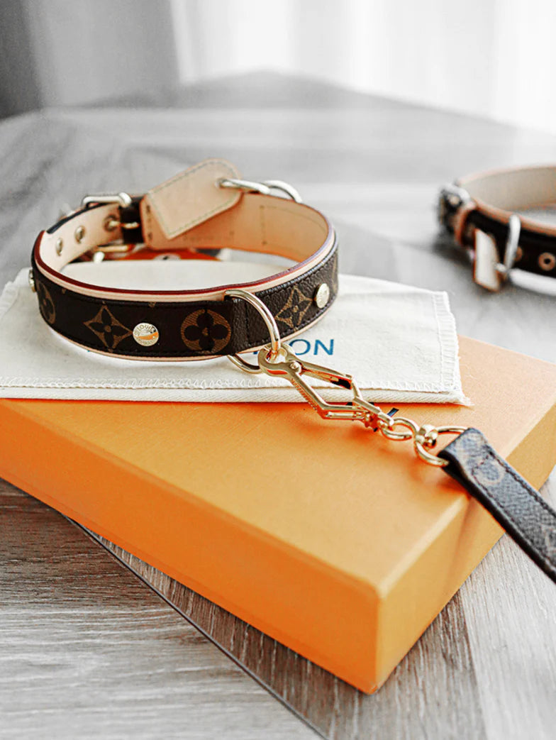 L - Collar & Leash E1