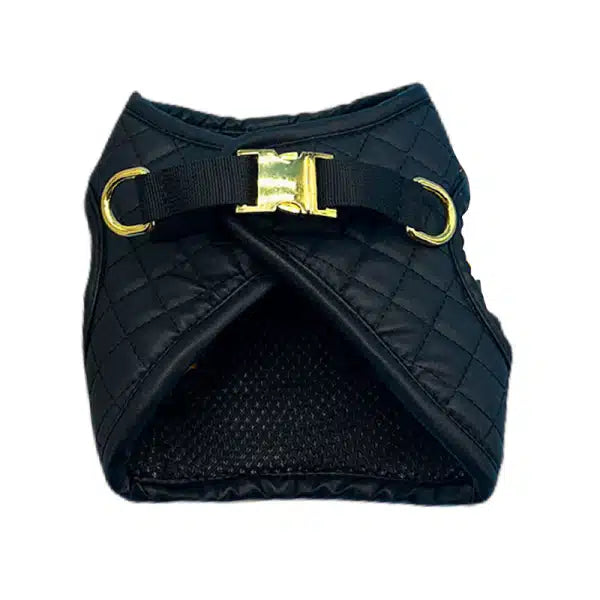 C - Harness with Leash E1