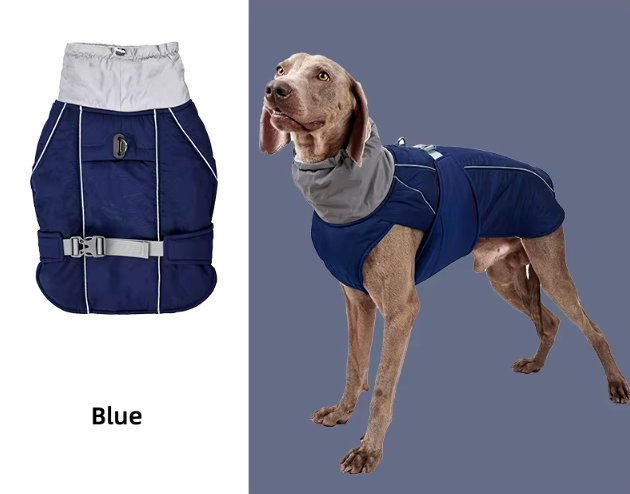 B - Rain/Winter Jacket E1