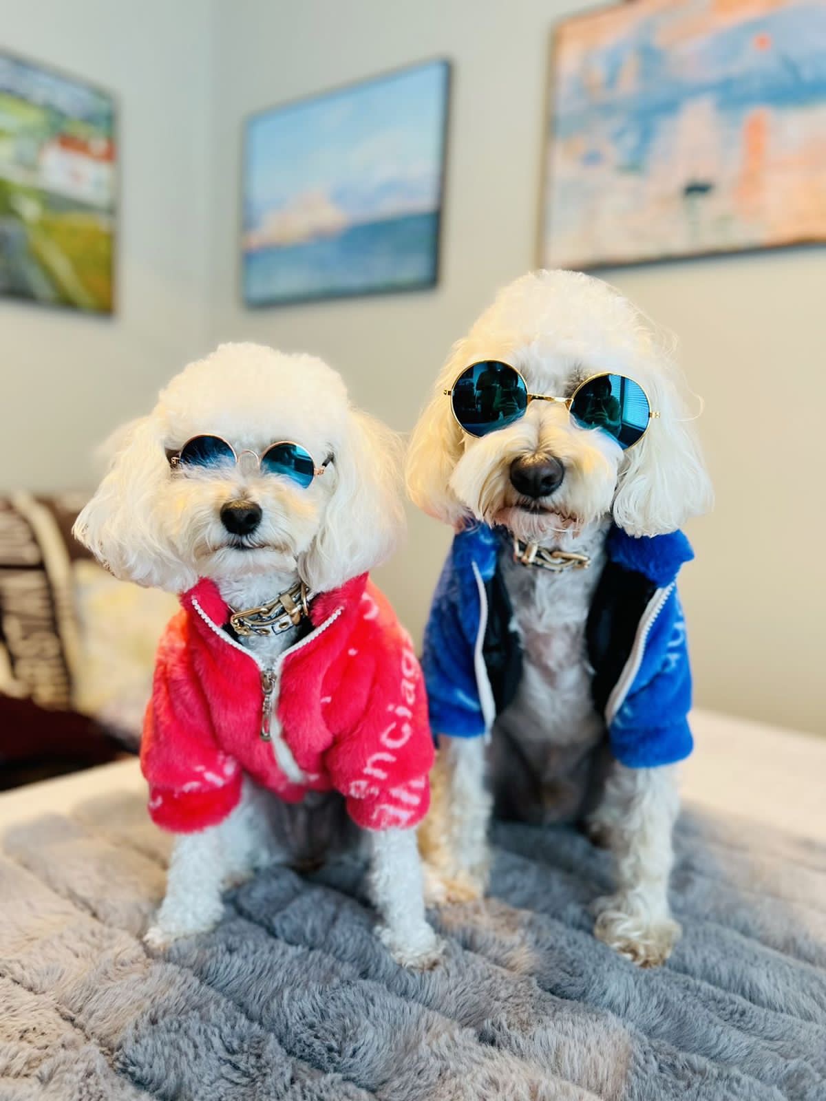 B - Fluffy Jacket E1