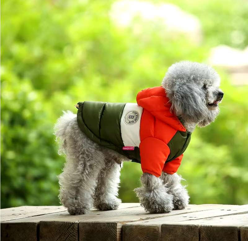 B - Puffy Jacket E1