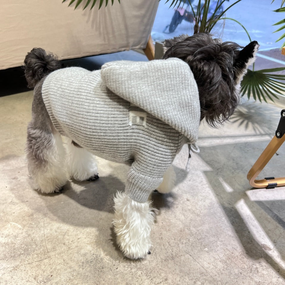 C - Hoddie E1