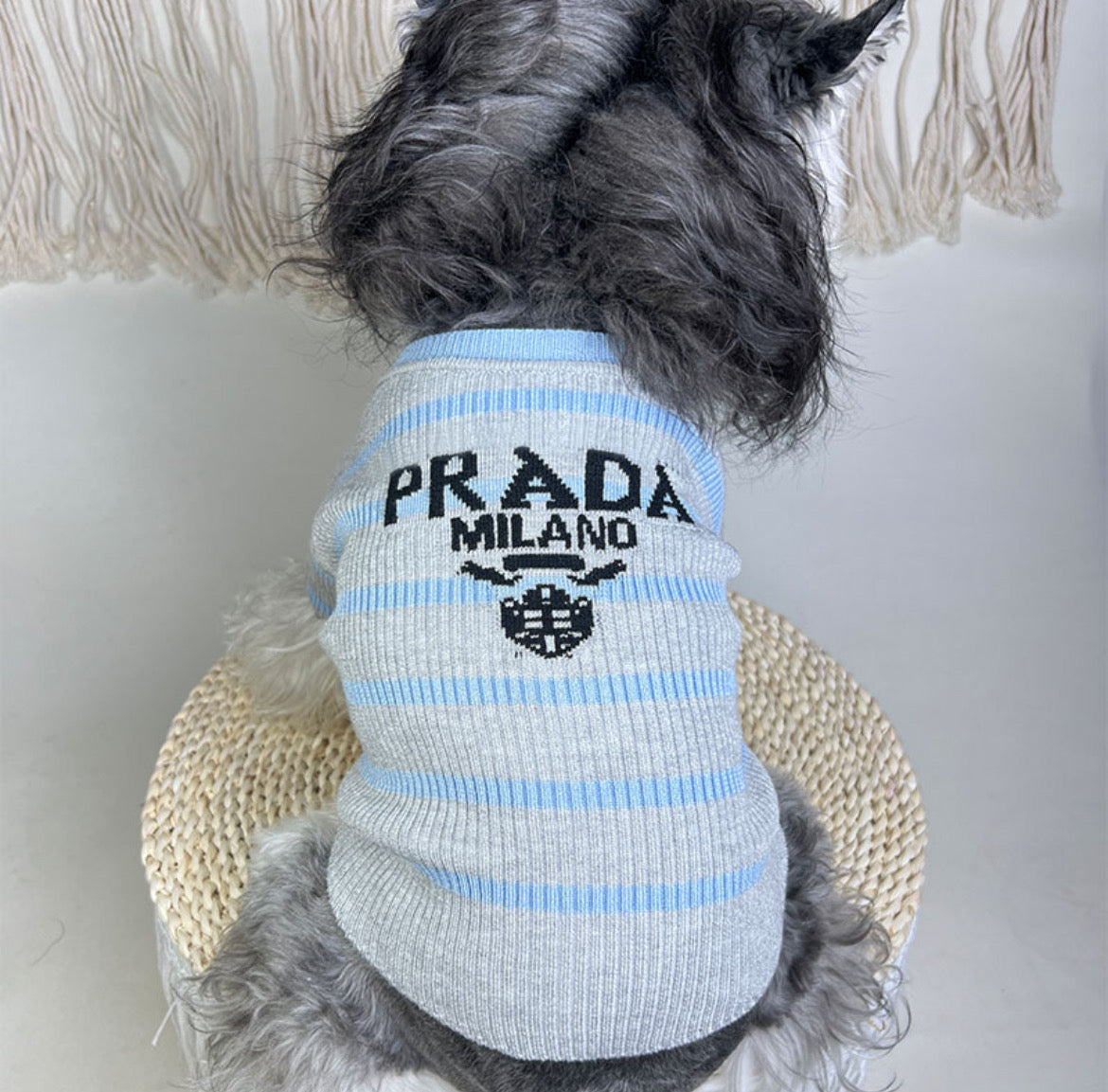 P - Sweater E2