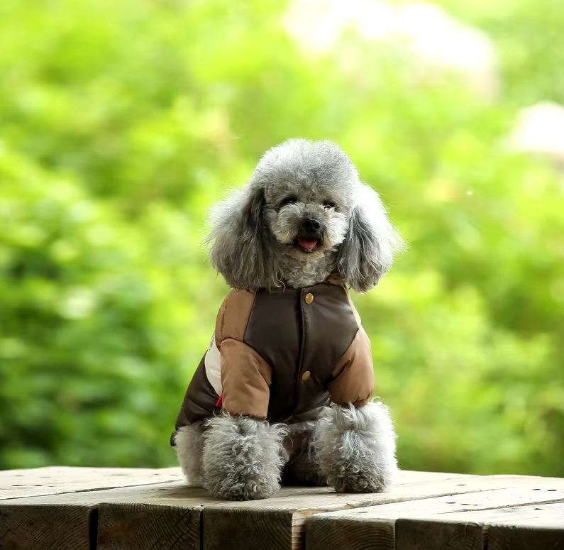 B - Puffy Jacket E1