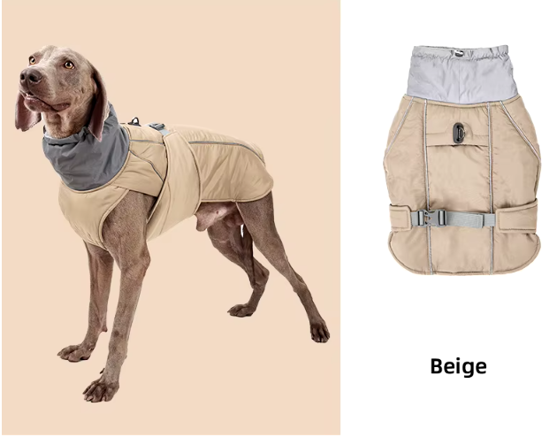 B - Rain/Winter Jacket E1