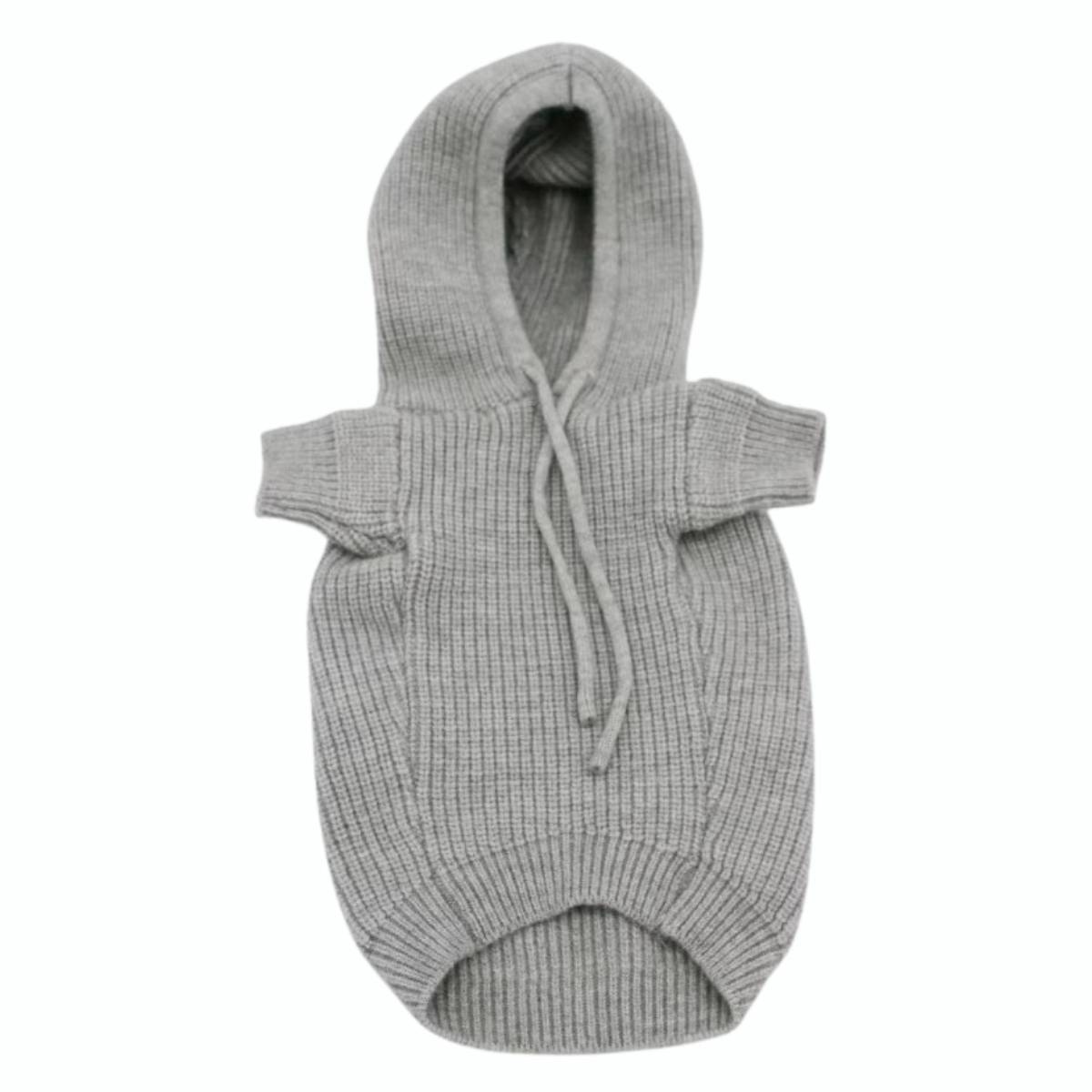 C - Hoddie E1