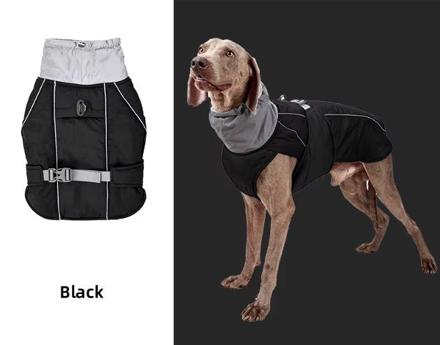 B - Rain/Winter Jacket E1