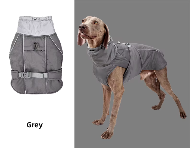 B - Rain/Winter Jacket E1