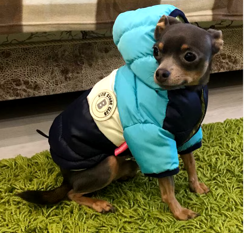 B - Puffy Jacket E1