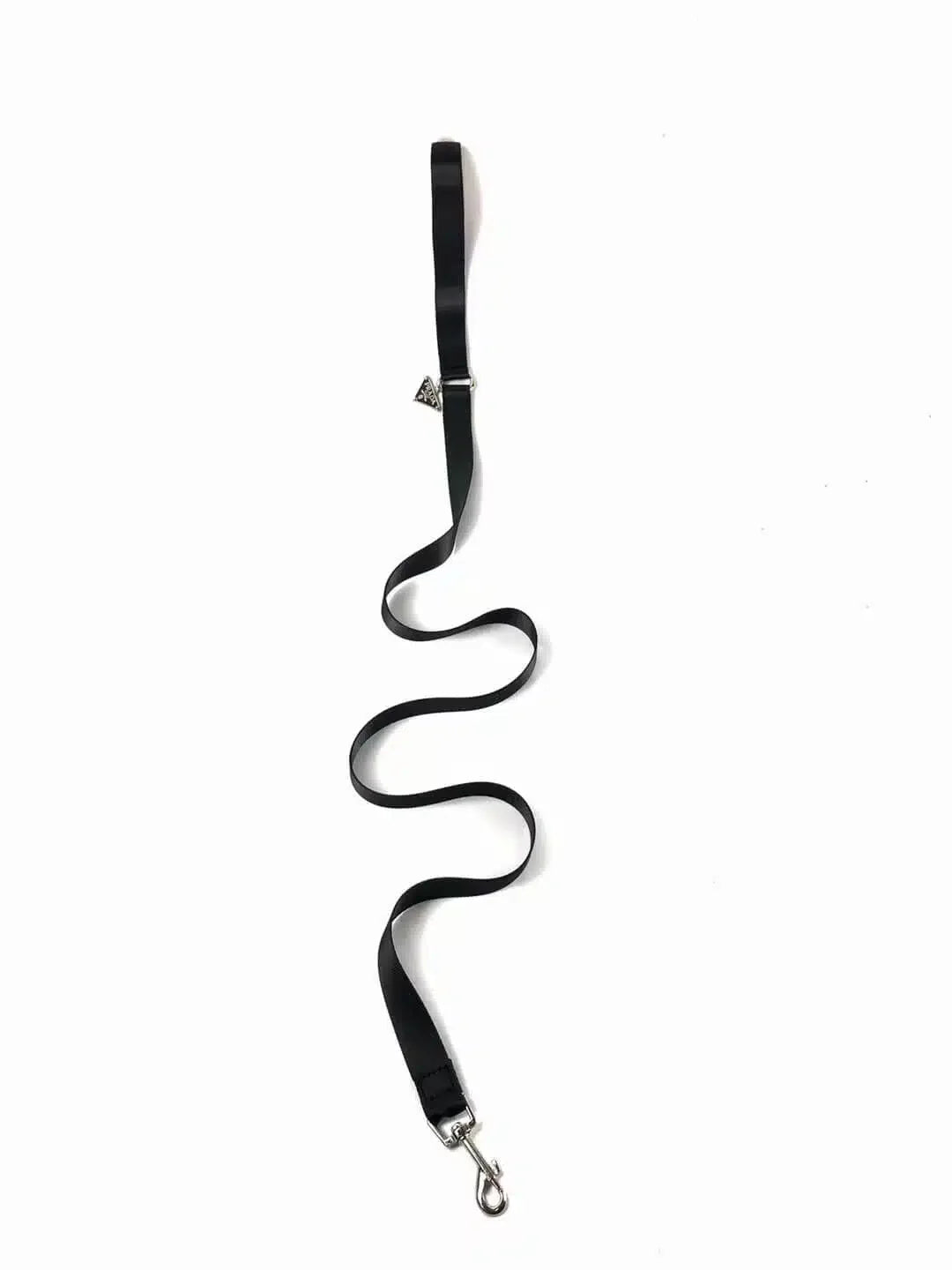 P - Collar Harness & Leash E1
