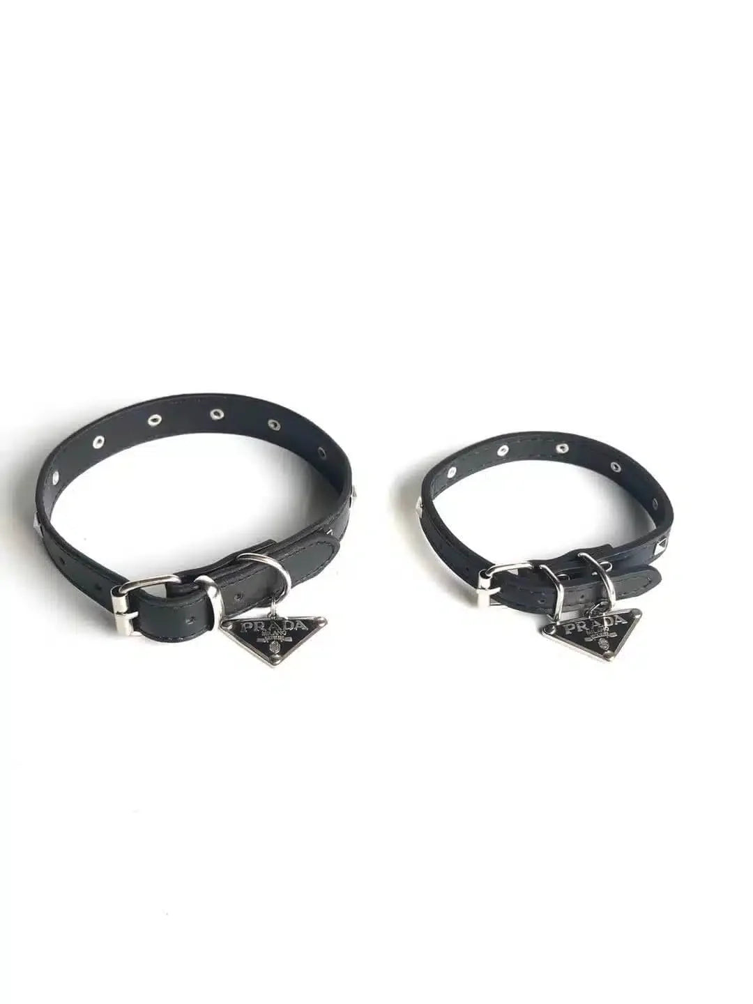 P - Collar Harness & Leash E1