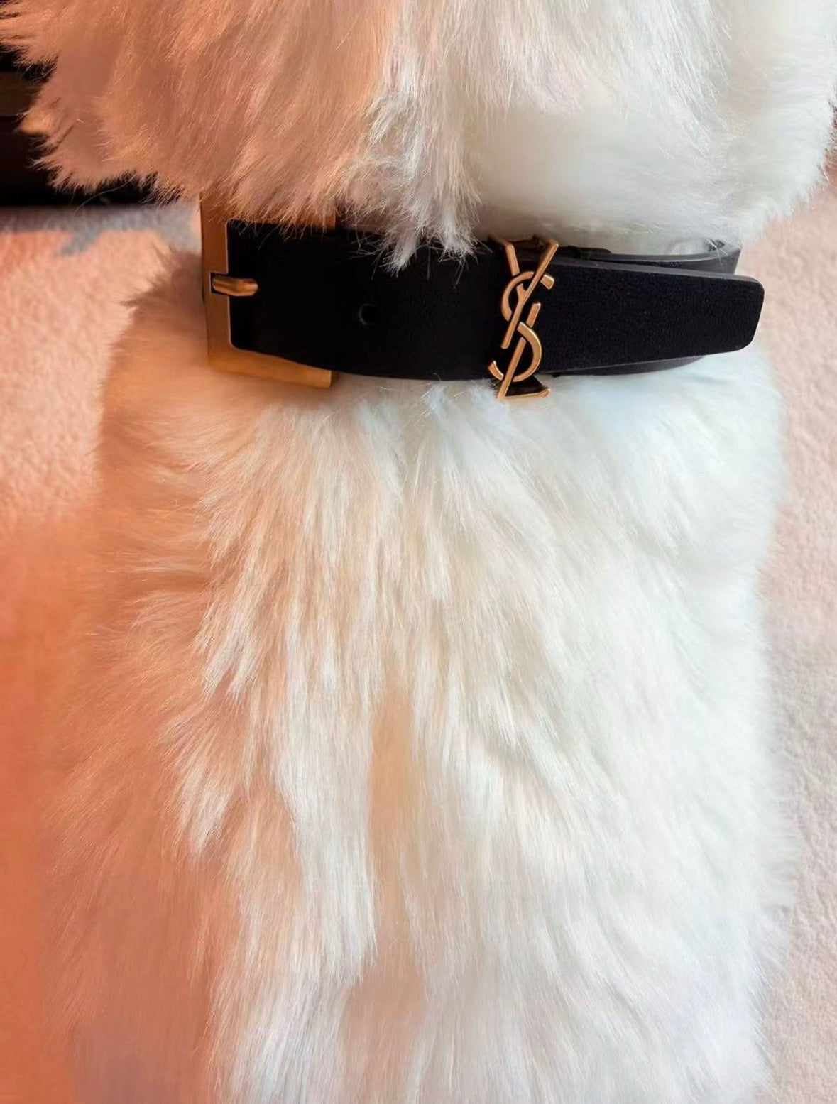 Monarque Luxe Collar & Leash Set