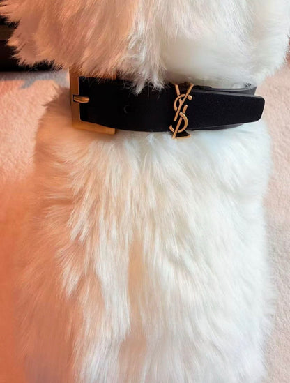 Monarque Luxe Collar & Leash Set