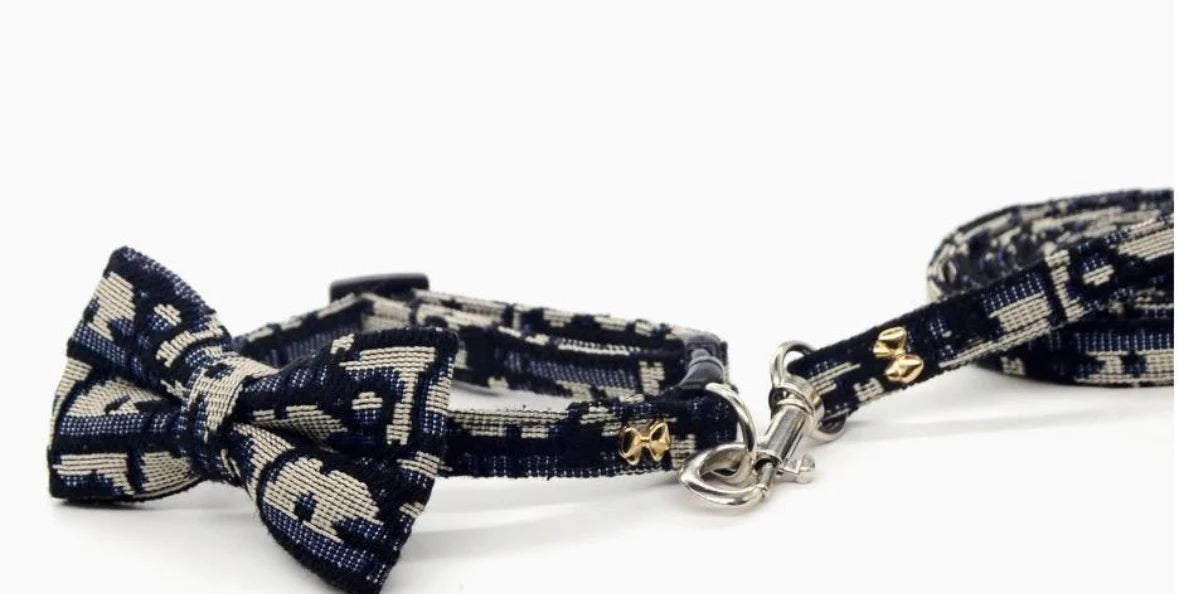 Midnight Weave Collar & Leash