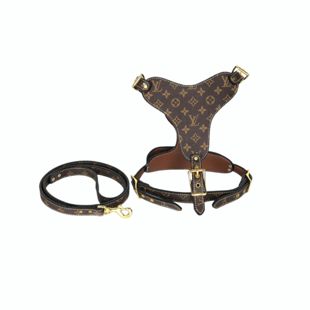 L - Harness and Leash E2
