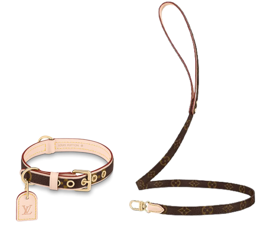 L - Collar & Leash E1