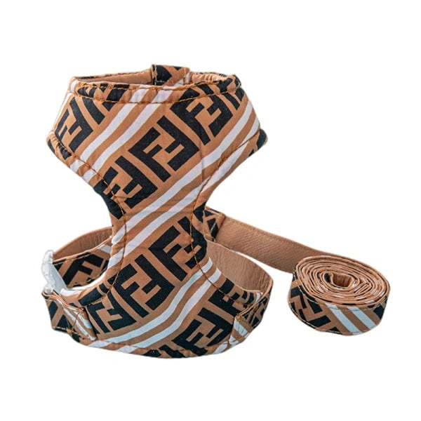 F - Harness & Leash E1