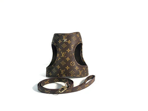 L - Harness with Leash E1