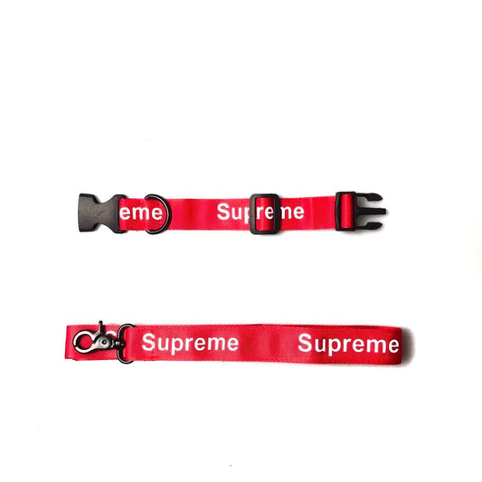 S - Collar & Leash E1