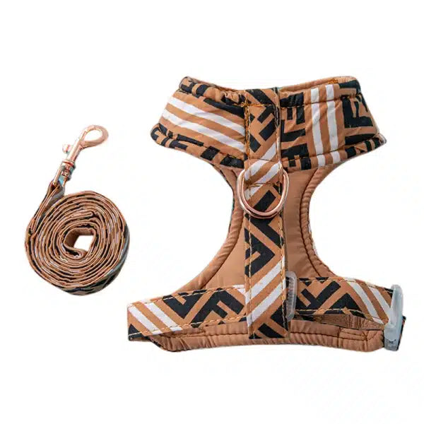 F - Harness & Leash E1