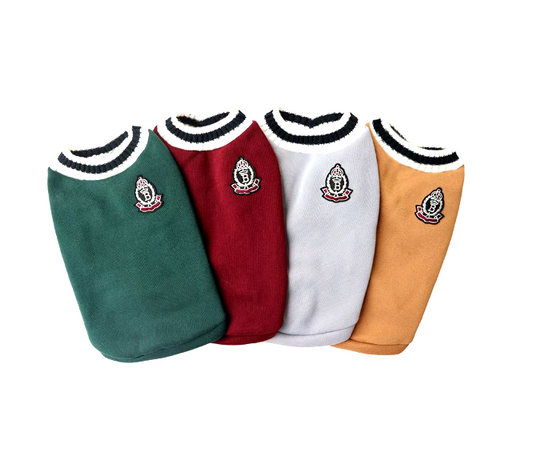 B - College Sweater E1