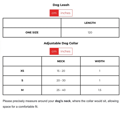 G - Bow Tie Leash E1