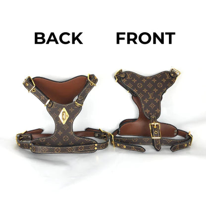 L - Harness and Leash E2