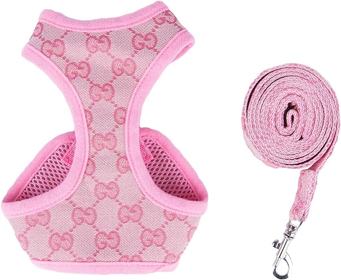 G - Harness & Leash Set E1