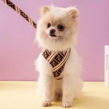 F - Harness & Leash E1