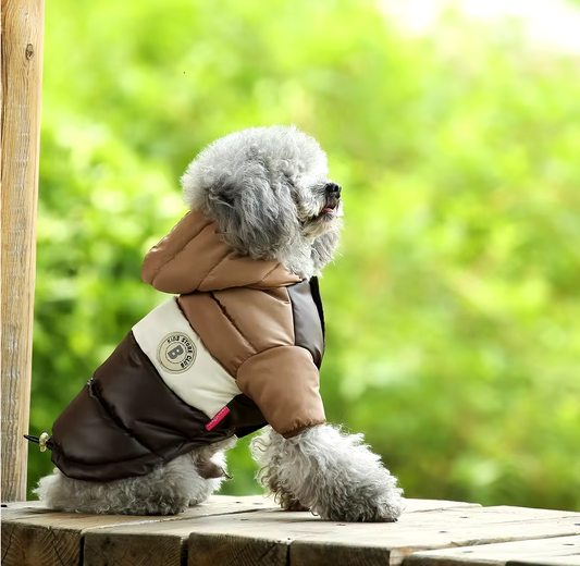 B - Puffy Jacket E1