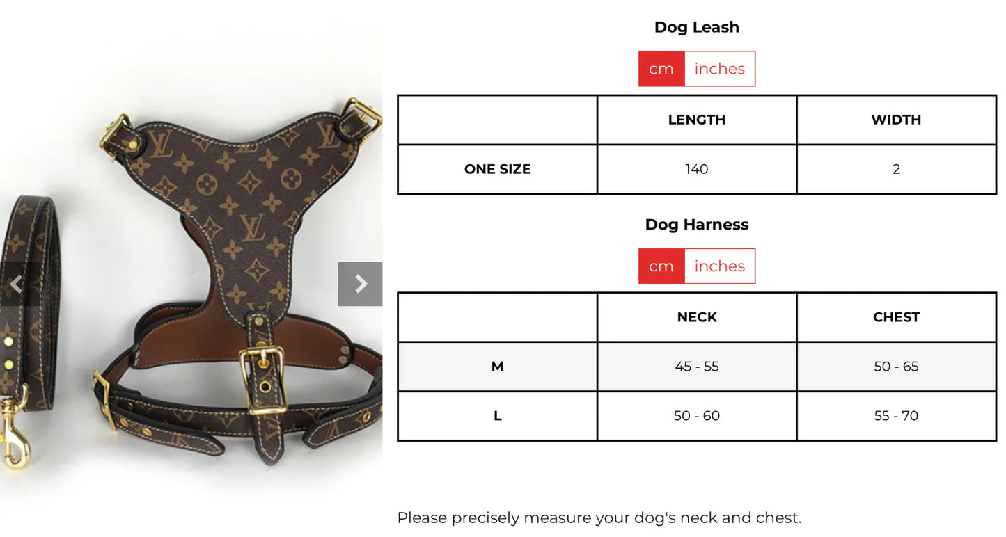 L - Harness and Leash E2