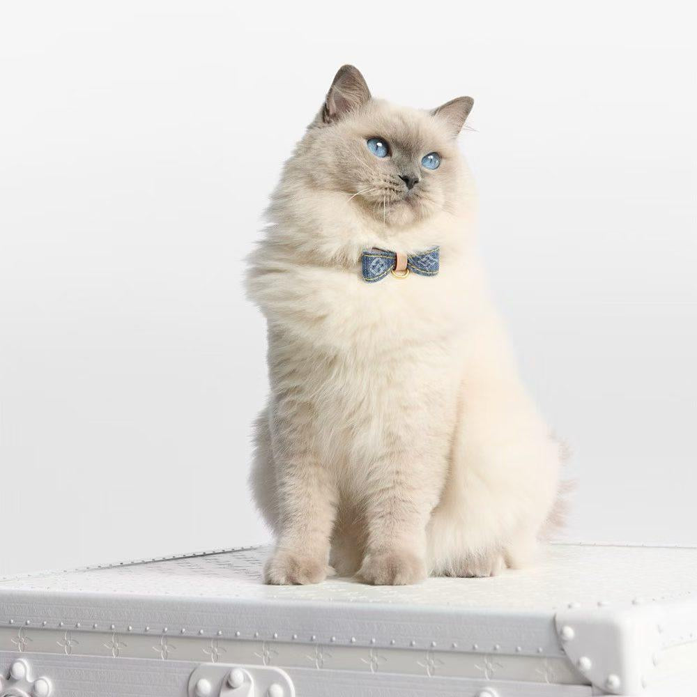 Royale Bow Collar