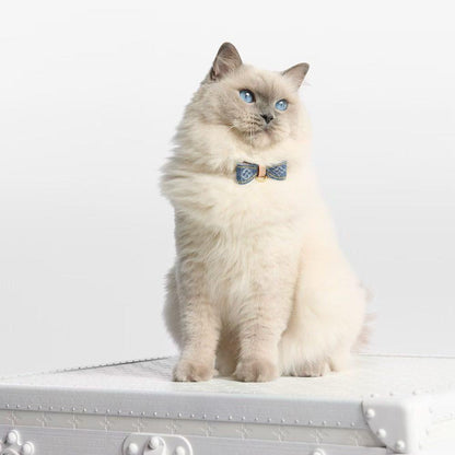 Royale Bow Collar