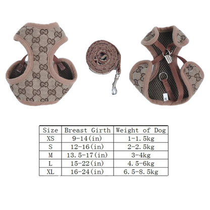 G - Set E1.1