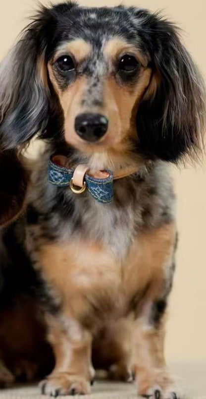 Royale Bow Collar