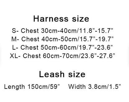 G - Harness & Leash E2