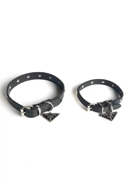 P - Collar Harness & Leash E1